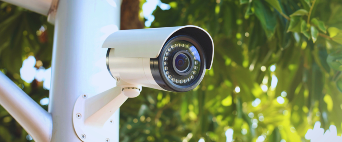 Untitled design - 2026-02-03T002538.413